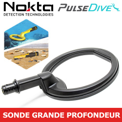 disque grande profondeur pour pulse dive